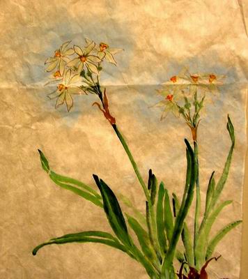 Paperwhites painting with blue background