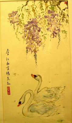 Swans and wisteria
