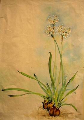 Faded blue still provides effective way to highlight the flowers