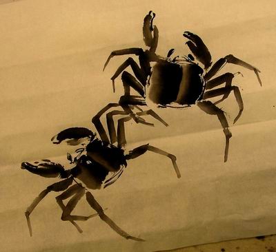 Close-up of crabs